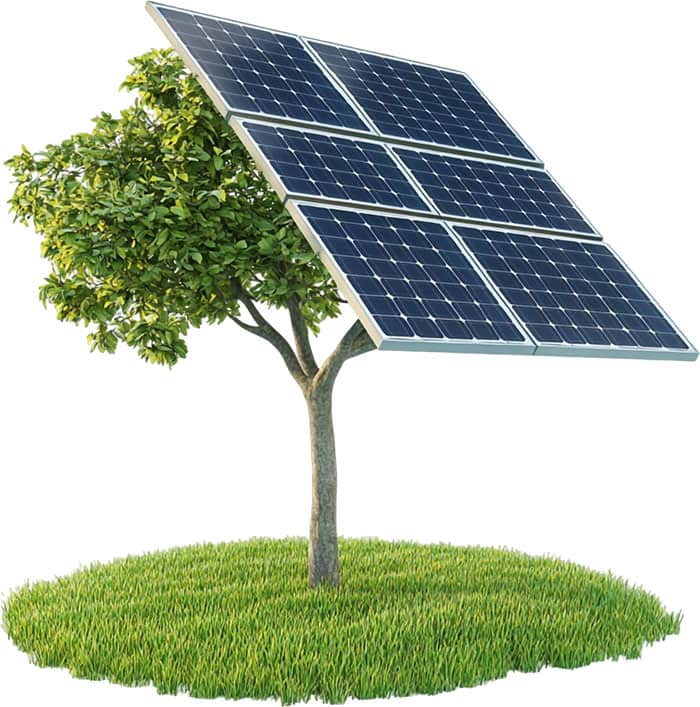 Desarrollo de Parques Solares
